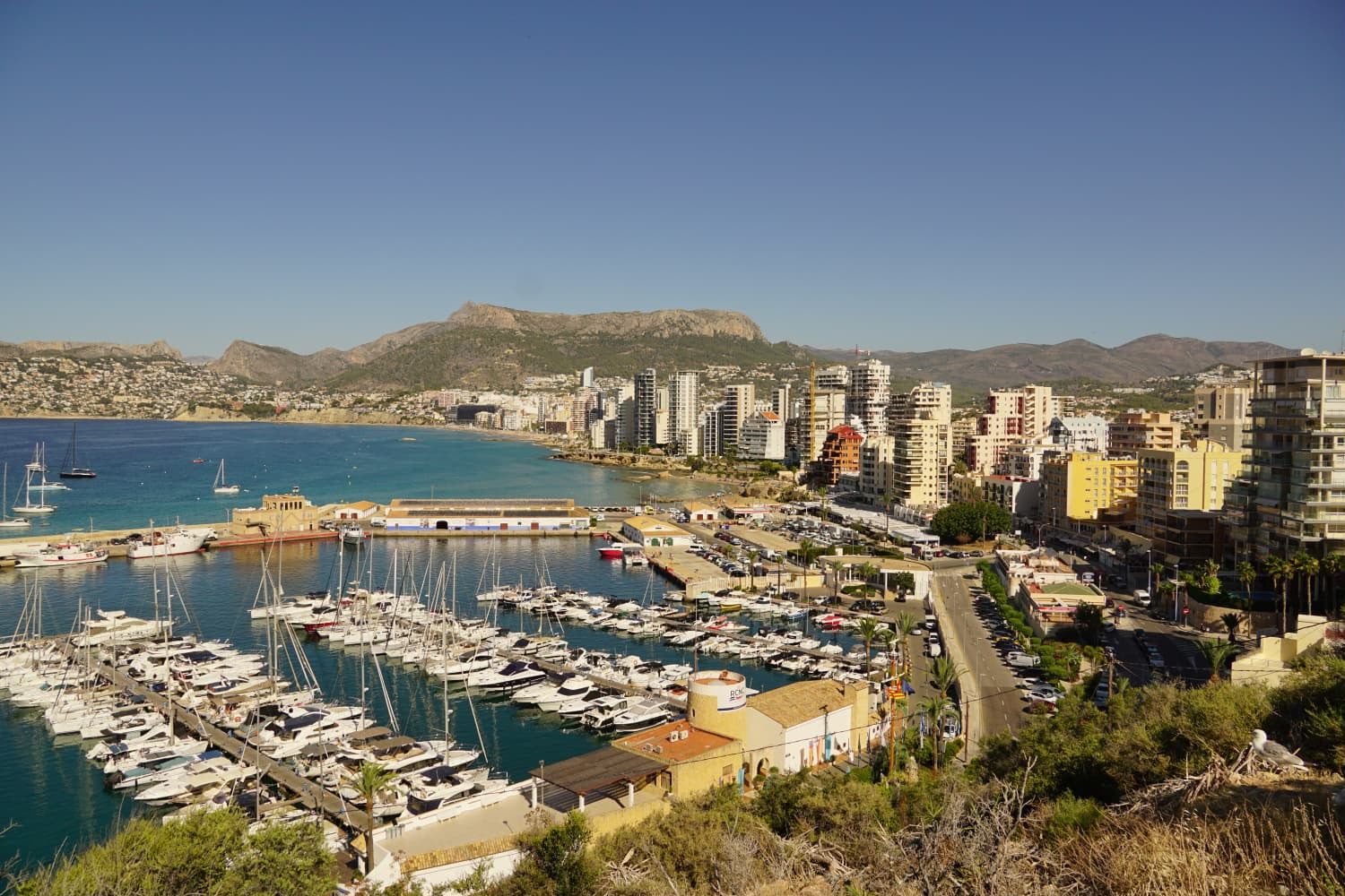 Calpe marina full of boats