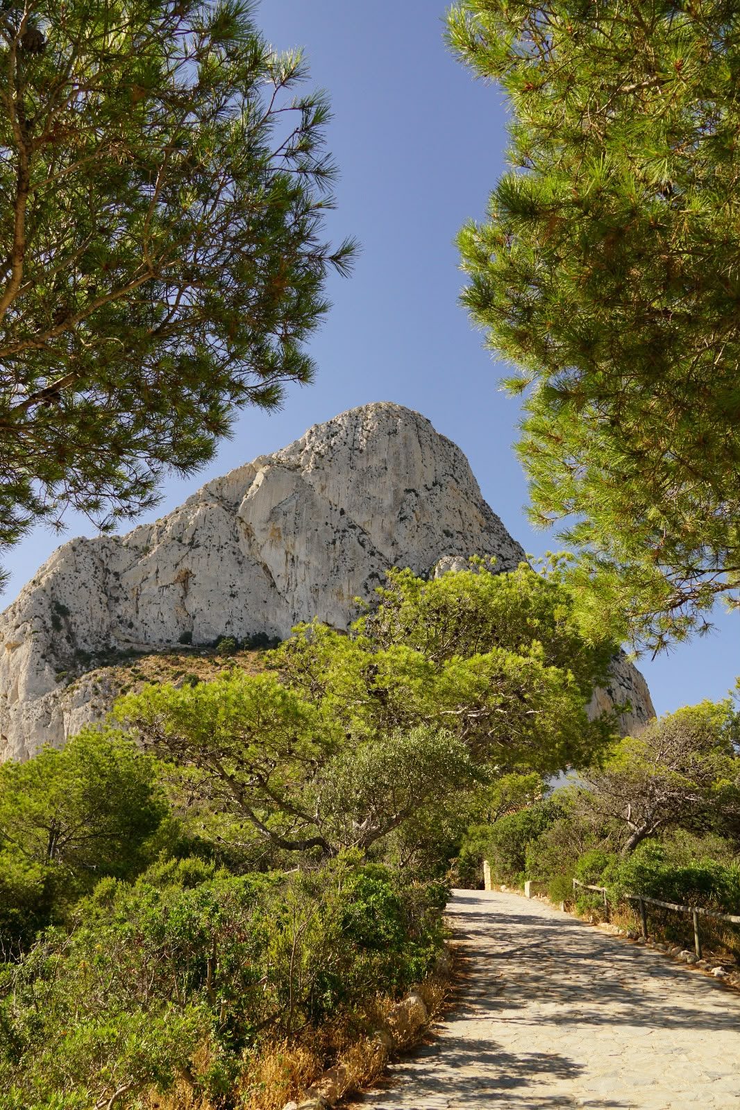 The Peñón de Ifach framed by pine trees along the trail